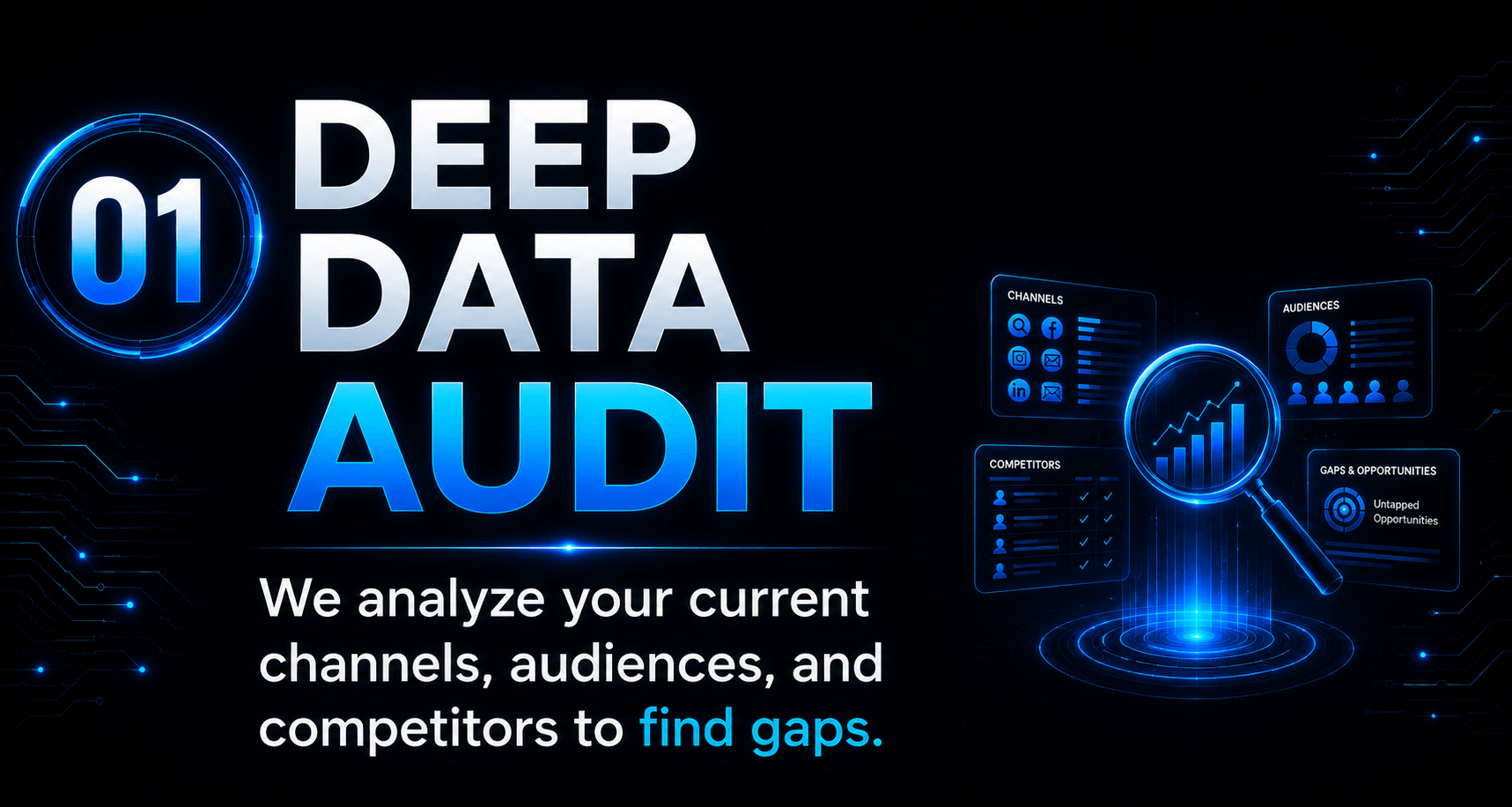 Deep Data Audit